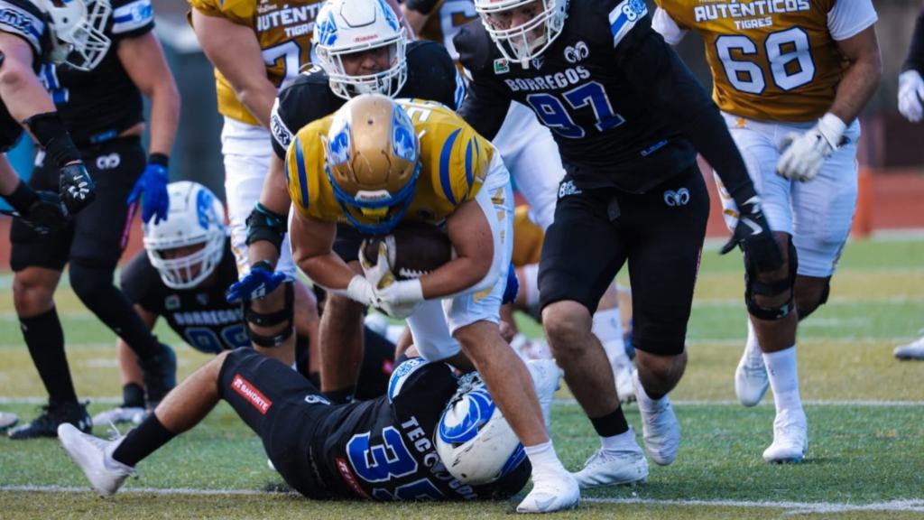 UANL: Auténticos Tigres extienden el&nbsp;invicto