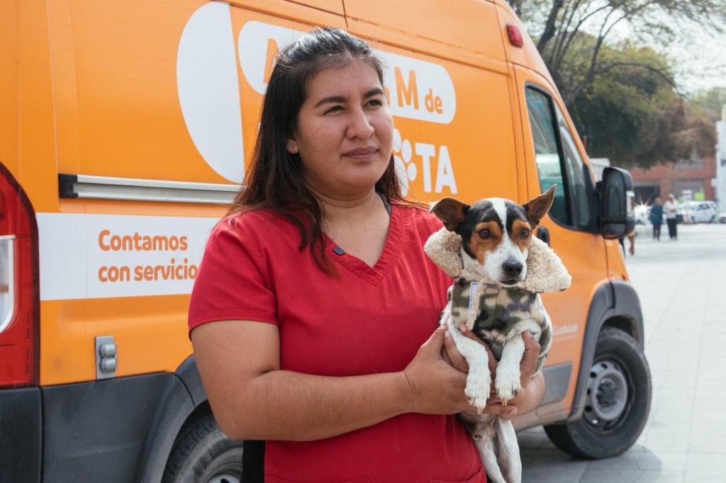 Emite Guadalupe recomendaciones para proteger a mascotas del&nbsp;frío